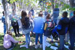 DSC03753_tn